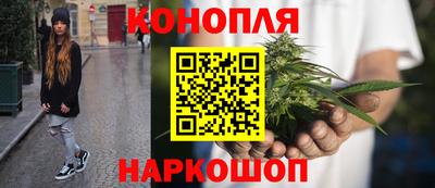 Альфа ПВП Пенза
