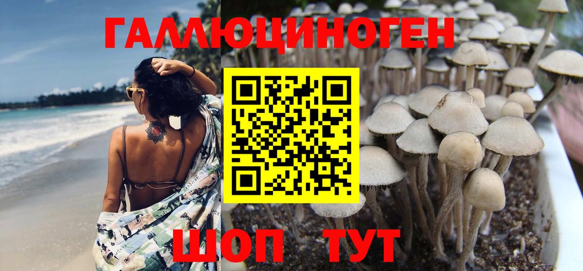 Серов  закладки  Галлюциногенные грибы Magic Shrooms  Вход с VPN  Псилоцибиновые грибы Psilocybe 